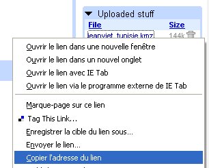 copier l'adresse du lien